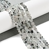 Natural Sesame Jasper Beads Strands G-M403-A40-01-2