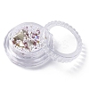 Nail Art Decoration Accessories Kits MRMJ-F016-14-2