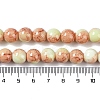 Baking Paint Glass Bead Strands GLAA-H031-01C-02-5