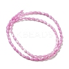 Natural Trochus Shell Beads Strands SHEL-K006-19A-2