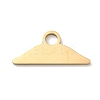 304 Stainless Steel Pendants STAS-P433-12B-G-1
