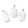 Natural Howlite Pendants G-K338-05C-1