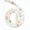 Natural Agate Bead Strands G-R346-10mm-26-2