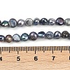 Natural Cultured Freshwater Pearl Beads Strands PEAR-P064-19D-05F-5