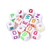 Opaque Acrylic Beads SACR-N020-04M-01-2