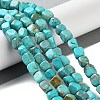 Dyed Natural Imperial Jasper Beads Strands G-U011-A01-01-2
