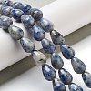 Natural Blue Spot Jasper Beads Strands G-B106-A15-02-2
