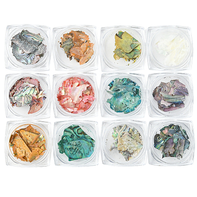 12 Colors Shell Chips Nail Art Decorations Accessories DIY-WH20002-669-1