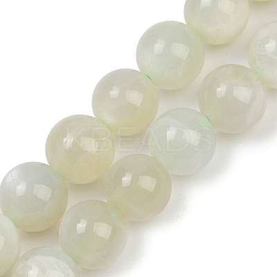 Natural Green Moonstone Beads Strands LS-G-NH0060-A01-02-1
