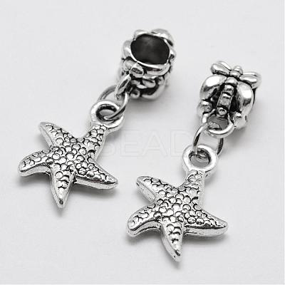 Alloy European Dangle Charms PALLOY-P120-12-1