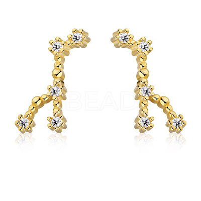 Cubic Zirconia Constellation Stud Earrings EJEW-P231-90G-07-1