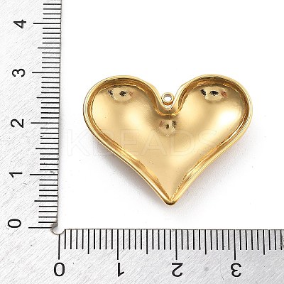 304 Stainless Steel Pendants STAS-R155-054F-G-1
