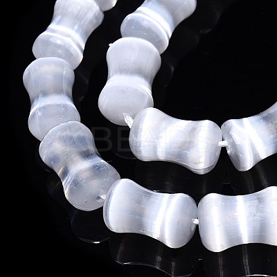 Dyed Natural Selenite Beads Strands G-T138-234A-1