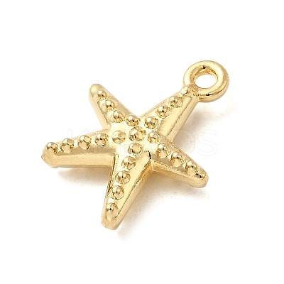 304 Stainless Steel Pendants STAS-B103-02C-G-1