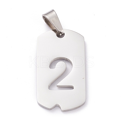 Non-Tarnish 304 Stainless Steel Pendants LS-STAS-H144-02P-2-1