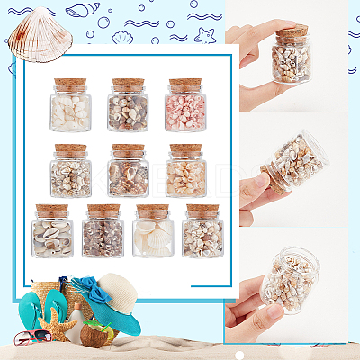 10Pcs Natural Sea Shell Conch Bead & Transparent Glass Bottle Display Decorations AJEW-AB00075-1
