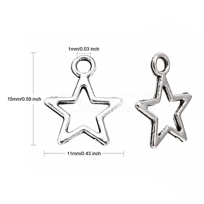 Tibetan Style Alloy Charms LF10651Y-NF-1