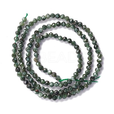 Natural Seraphinite Beads Strands LS-G-A021-07B-1