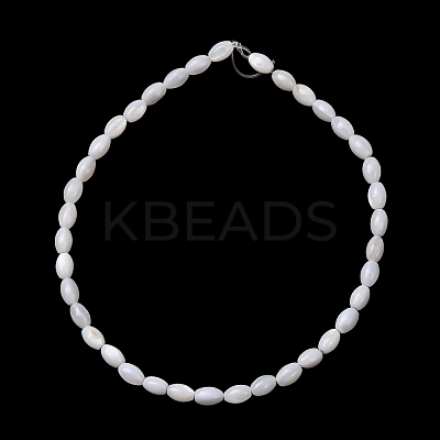 Natural Freshwater Shell Beads Strands SH-CBA2978-06A-1