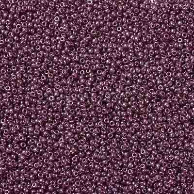 MIYUKI Round Rocailles Beads SEED-X0055-RR0313-1