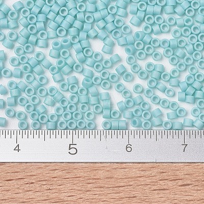 MIYUKI Delica Beads X-SEED-J020-DB1595-1