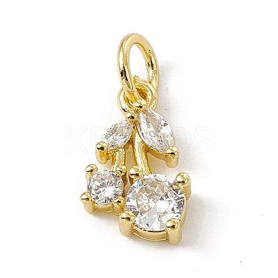 Brass Micro Pave Cubic Zirconia Charms ZIRC-F132-05G-1