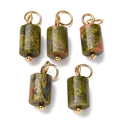Natural Unakite Column Charms with 304 Stainless Steel Jump Rings G-Q032-01B-1