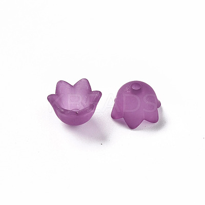 Transparent Acrylic Beads Caps PL543-7-1