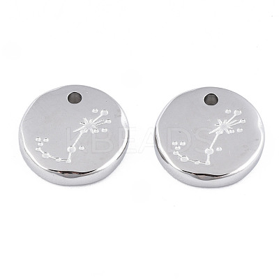 Non-Tarnish 316 Surgical Stainless Steel Charms STAS-S116-418J-P-1