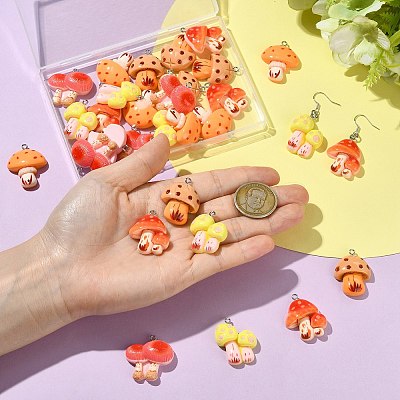 30Pcs 5 Styles Resin Pendants RESI-CJ0005-20-1