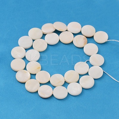 Natural White Shell Beads Strands PBB251Y-2-1