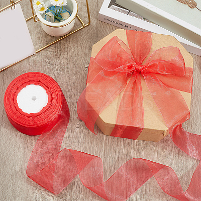 1 Rolls Sheer Organza Ribbon SRIB-CY0001-22C-05-1