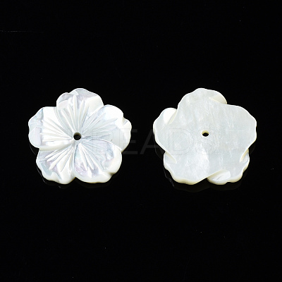 Natural White Shell Mother of Pearl Shell Beads SSHEL-T014-42B-1