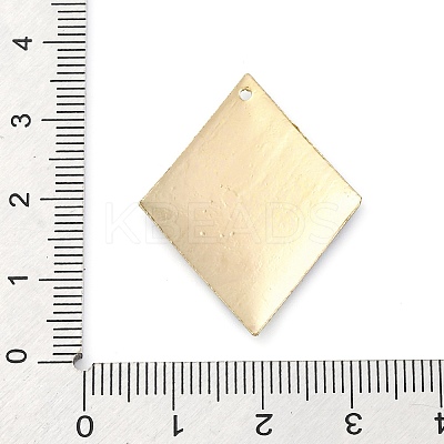 Geometric Alloy Sheet Printed Pendant Earrings Accessories PALLOY-E139-01G-11-1