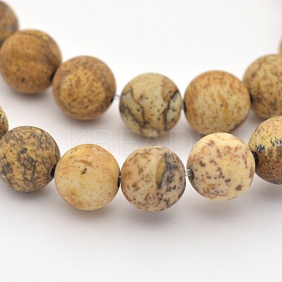 Natural Picture Jasper Beads Strands X-G-D659-6mm-1