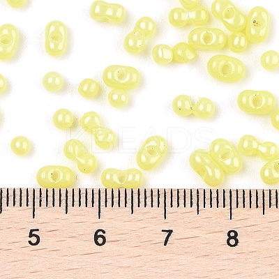 Baking Paint Glass Seed Beads SEED-L011-09A-20-1