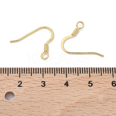 SHEGRACE Brass Earring Hooks XGR0139G-152G-1