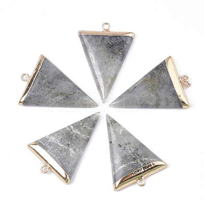 Electroplate Natural Labradorite Pendants X-G-S344-49D-1