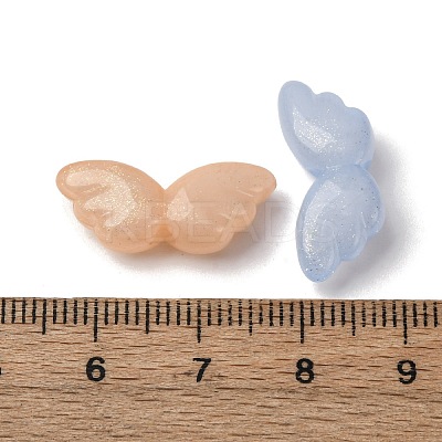 Luminous Transparent Acrylic Beads X-LACR-S001-08-1