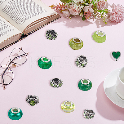60Pcs 12 Styles Alloy Rhinestone/Enamel European Beads & Resin European Beads Kits DIY-PA0001-06B-1