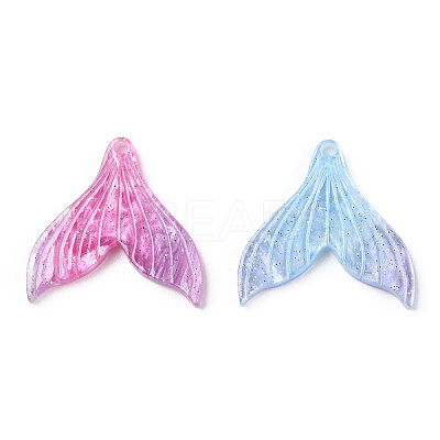 Cellulose Acetate(Resin) Pendants KY-N006-05-A01-1