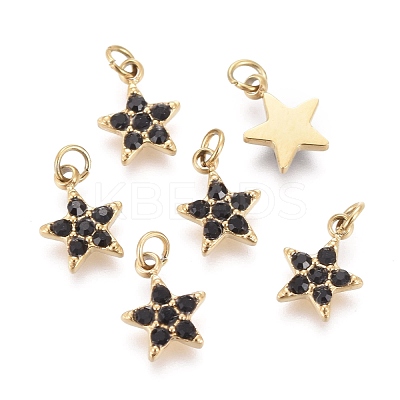 316 Surgical Stainless Steel Charms STAS-F256-024A-G-1