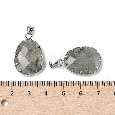 Natural Labradorite Pendants G-H086-01P-05-1