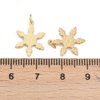 304 Stainless Steel Charms STAS-H241-32G-1