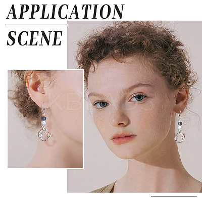 100Pcs 304 Stainless Steel Leverback Earring Findings STAS-BBC0004-12-1