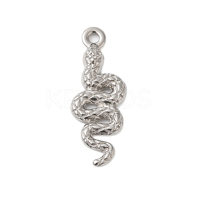 Non-Tarnish 304 Stainless Steel Pendants LS-X-STAS-N103-11P-1