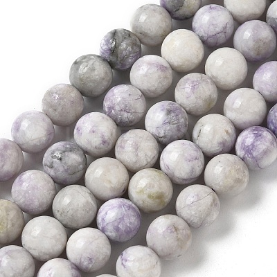 Natural Purple Turquoise Beads Strands G-L595-C04-02-1