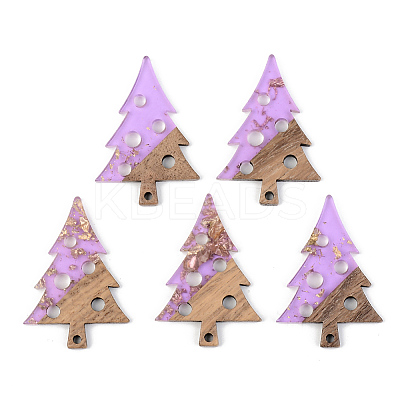 Transparent Resin & Walnut Wood Pendants RESI-S389-030A-B01-1