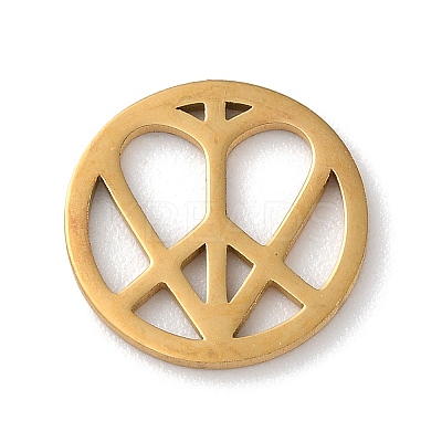 304 Stainless Steel Charms STAS-P338-05G-1