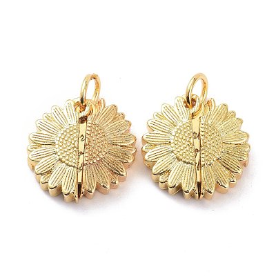 Brass Micro Pave Clear Cubic Zirconia Openable Pendants KK-D004-14G-1